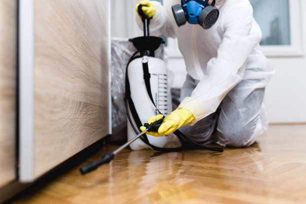 Best Termite Control Services  in Youngsville, PA
