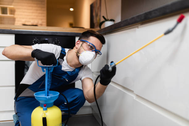 Best Pest Control Near Me in Youngsville, PA