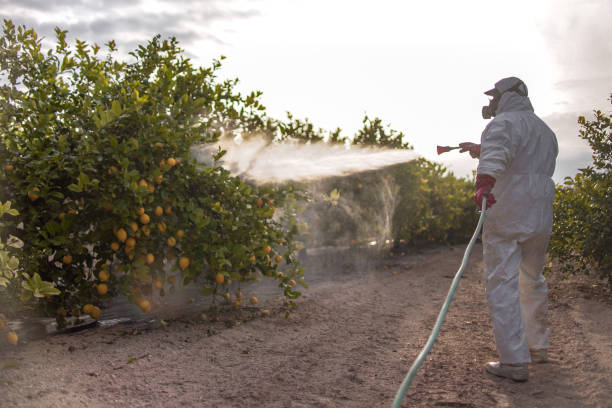 Best Mosquito Control Services  in Youngsville, PA