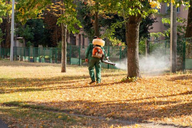 Best Flea Control Services  in Youngsville, PA